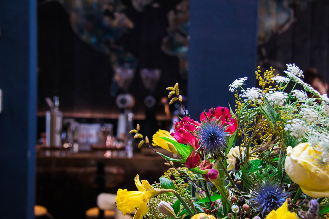 koala coffee wedding